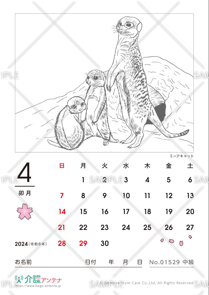 2024年4月の塗り絵カレンダー「ミーアキャット（動物）」 - No.01529(高齢者向けカレンダー作りの介護レク素材)