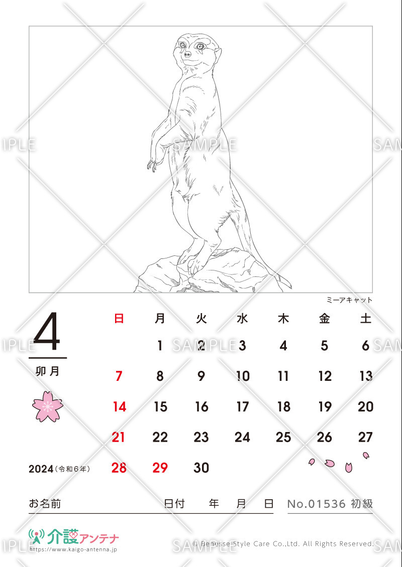 2024年4月の塗り絵カレンダー「ミーアキャット（動物）」 - No.01536(高齢者向けカレンダー作りの介護レク素材)