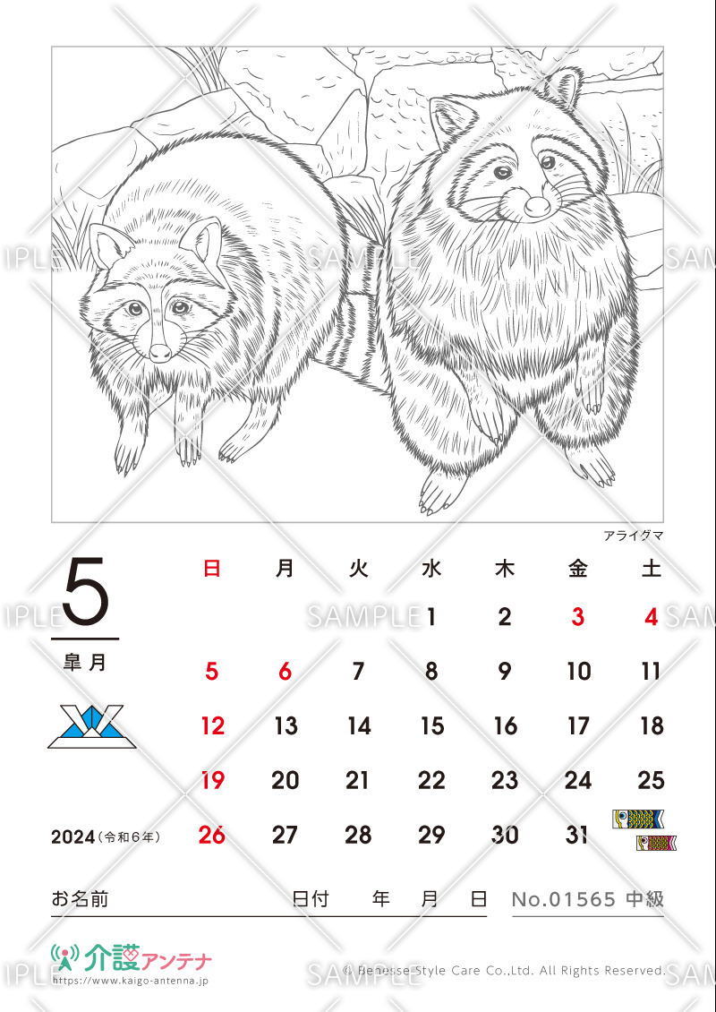 2024年5月の塗り絵カレンダー「アライグマ（動物）」 - No.01565(高齢者向けカレンダー作りの介護レク素材)