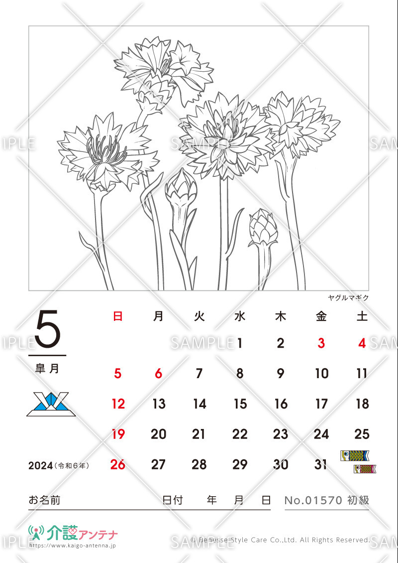 2024年5月の塗り絵カレンダー「ヤグルマギク（花・植物）」 - No.01570(高齢者向けカレンダー作りの介護レク素材)