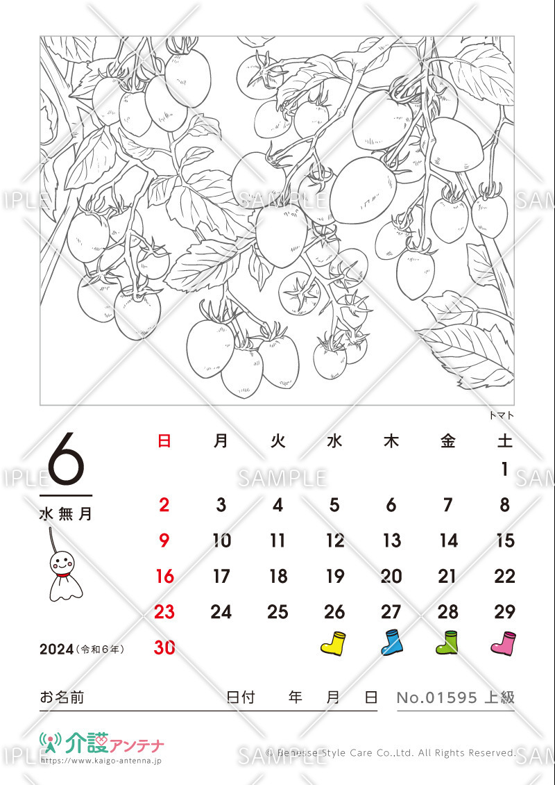2024年6月の塗り絵カレンダー「トマト（植物）」 - No.01595(高齢者向けカレンダー作りの介護レク素材)