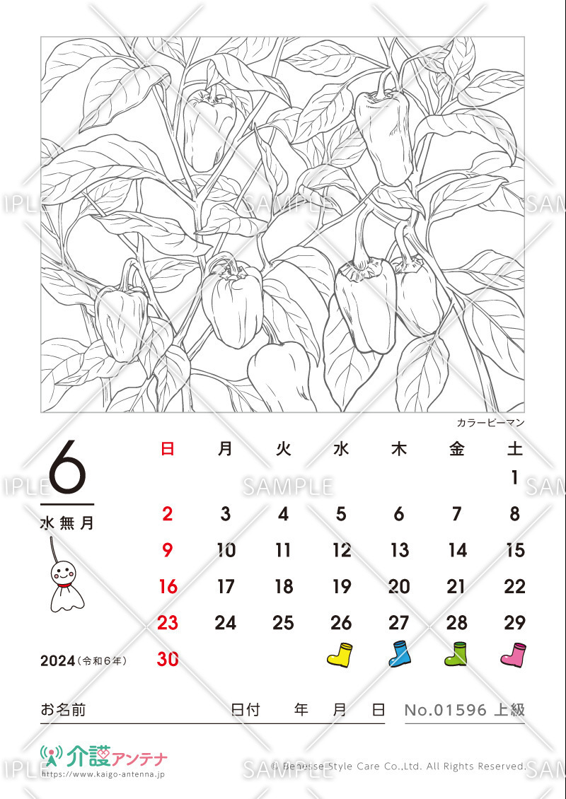 2024年6月の塗り絵カレンダー「カラーピーマン（植物）」 - No.01596(高齢者向けカレンダー作りの介護レク素材)