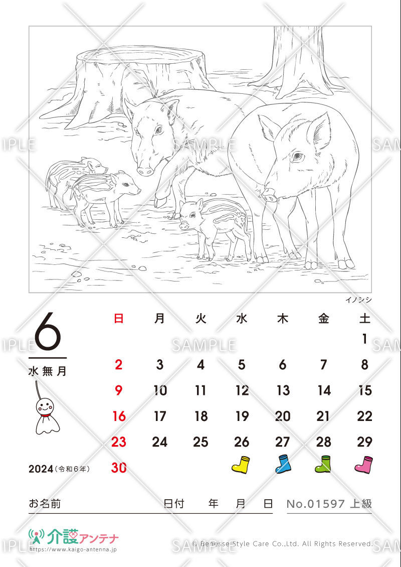 2024年6月の塗り絵カレンダー「イノシシ（動物）」 - No.01597(高齢者向けカレンダー作りの介護レク素材)