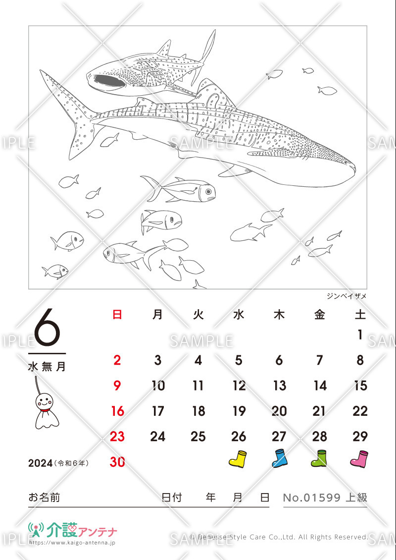 2024年6月の塗り絵カレンダー「ジンベイザメ（魚・海の生物）」 - No.01599(高齢者向けカレンダー作りの介護レク素材)