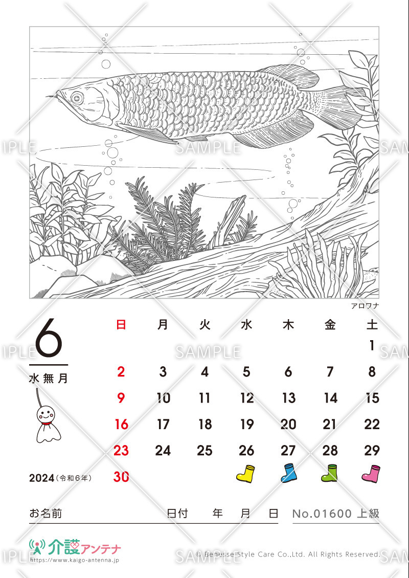 2024年6月の塗り絵カレンダー「アロワナ（魚）」 - No.01600(高齢者向けカレンダー作りの介護レク素材)