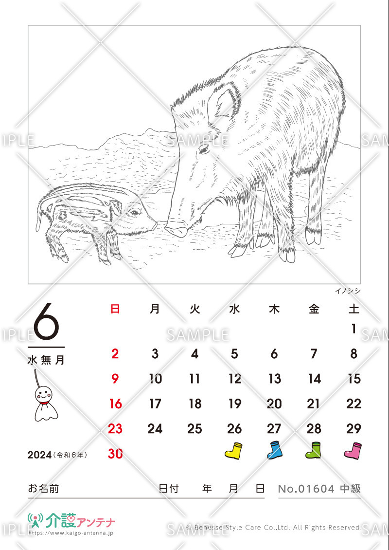 2024年6月の塗り絵カレンダー「イノシシ（動物）」 - No.01604(高齢者向けカレンダー作りの介護レク素材)