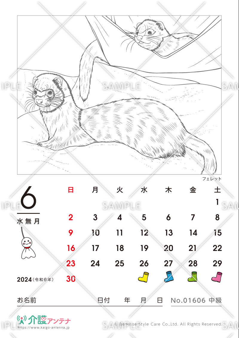 2024年6月の塗り絵カレンダー「フェレット（動物）」 - No.01606(高齢者向けカレンダー作りの介護レク素材)