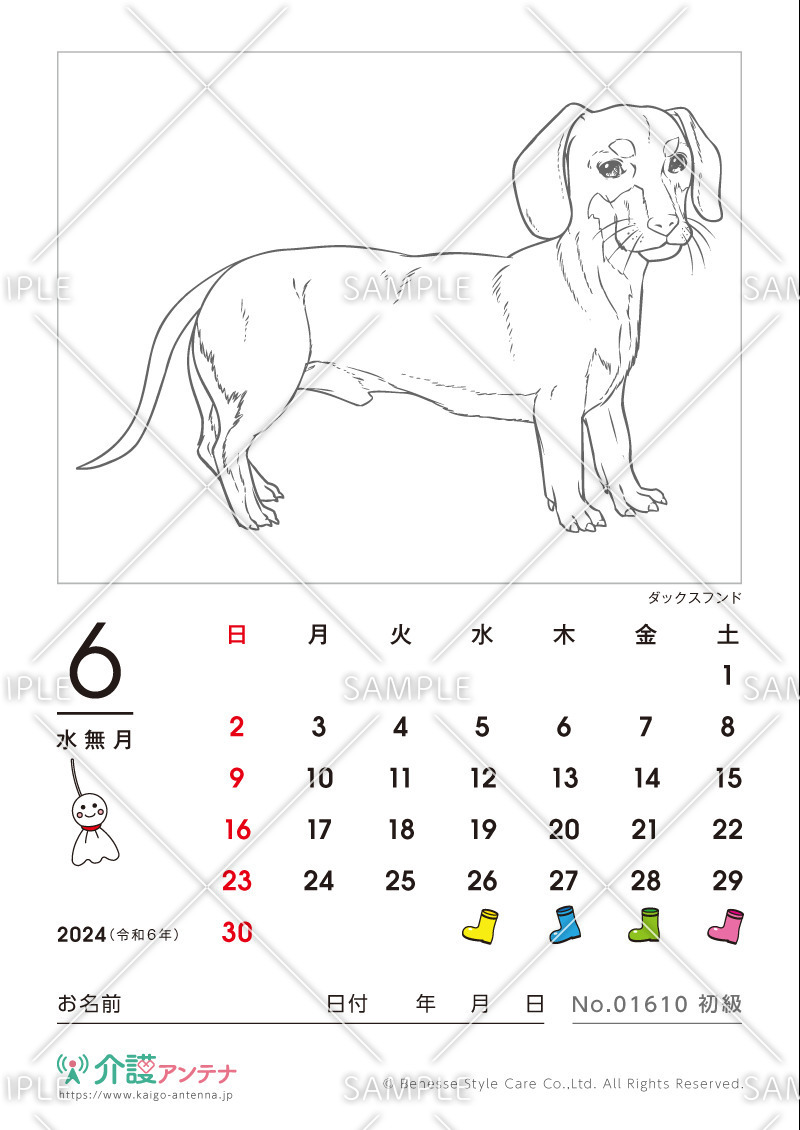 2024年6月の塗り絵カレンダー「ダックスフンド（犬・動物）」 - No.01610(高齢者向けカレンダー作りの介護レク素材)