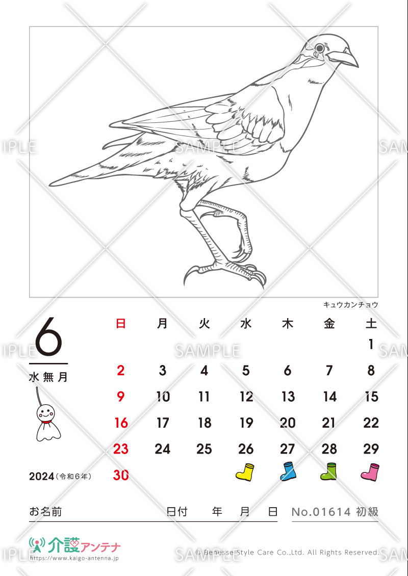 2024年6月の塗り絵カレンダー「キュウカンチョウ（鳥・動物）」 - No.01614(高齢者向けカレンダー作りの介護レク素材)
