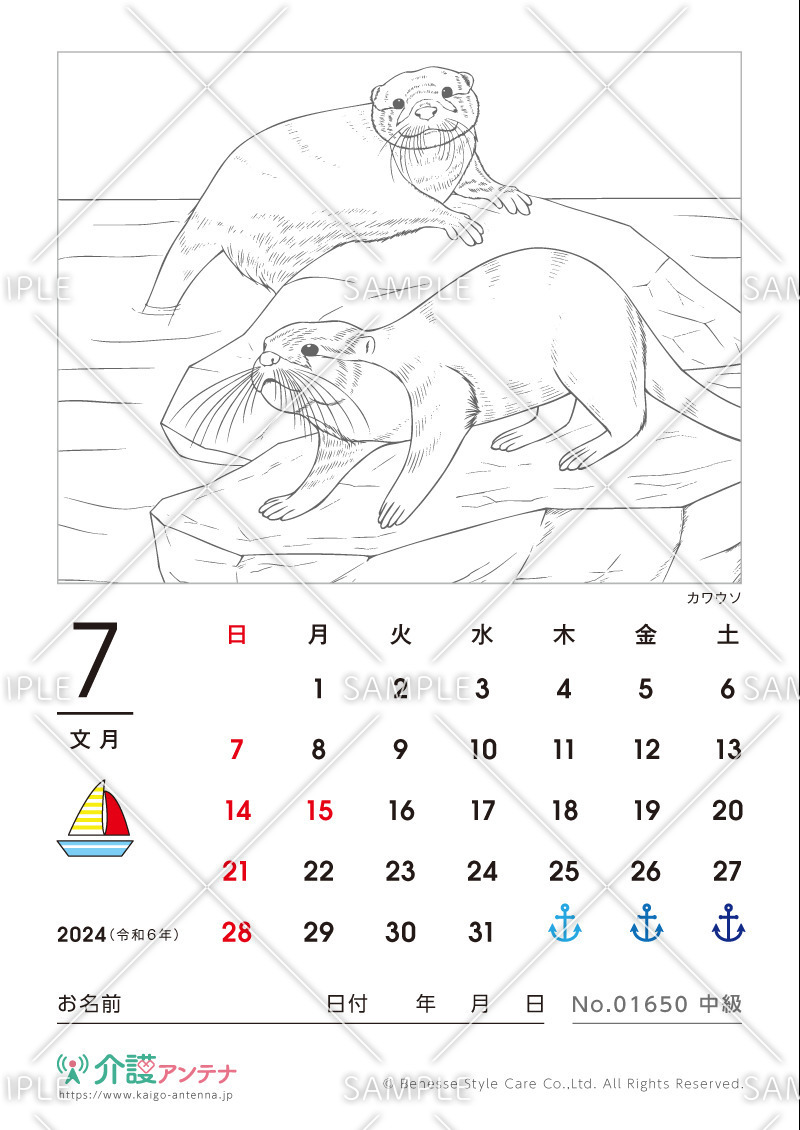 2024年7月の塗り絵カレンダー「カワウソ（動物・水辺の生物）」 - No.01650(高齢者向けカレンダー作りの介護レク素材)