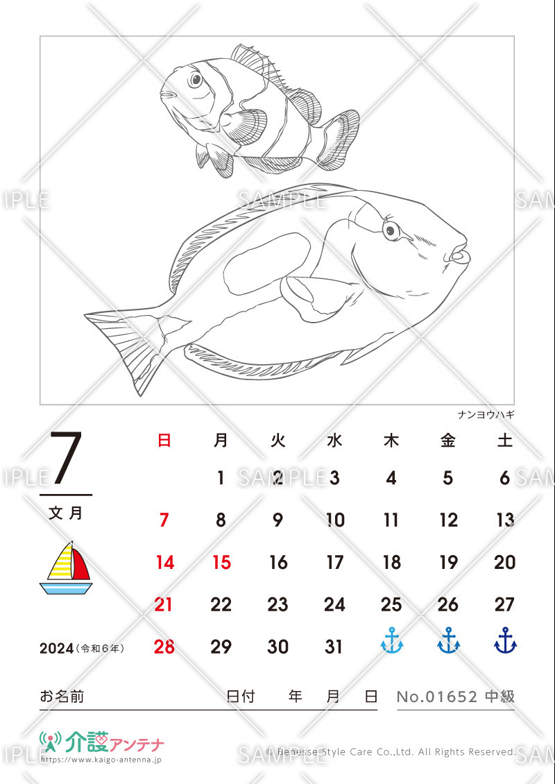 2024年7月の塗り絵カレンダー「ナンヨウハギ（魚・海の生物）」 - No.01652(高齢者向けカレンダー作りの介護レク素材)