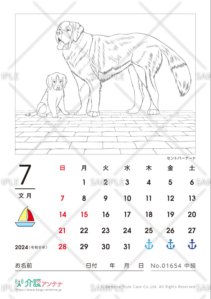 2024年7月の塗り絵カレンダー「セントバーナード（犬・動物）」 - No.01654(高齢者向けカレンダー作りの介護レク素材)