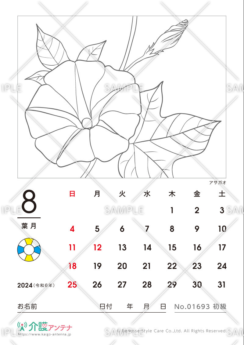 2024年8月の塗り絵カレンダー「アサガオ（花・植物）」 - No.01693(高齢者向けカレンダー作りの介護レク素材)