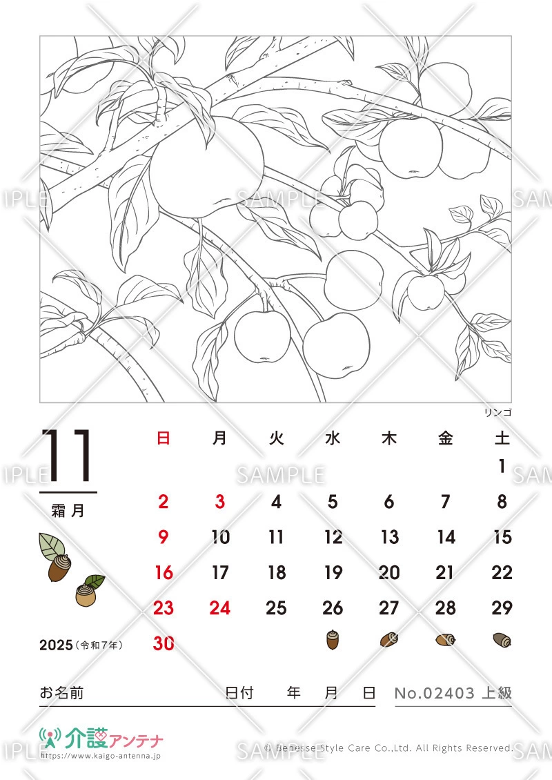 2025年11月の塗り絵カレンダー「リンゴ（植物）」 - No.02403(高齢者向けカレンダー作りの介護レク素材)