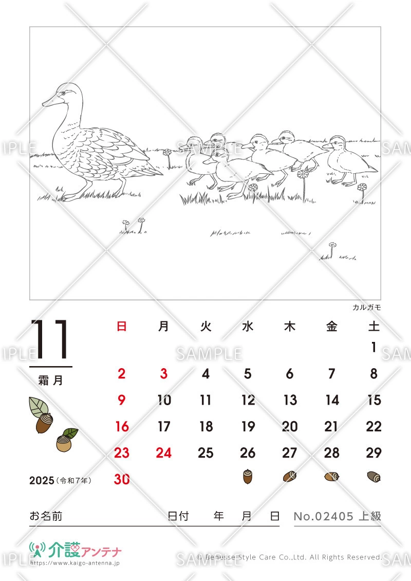 2025年11月の塗り絵カレンダー「カルガモ（鳥・動物）」 - No.02405(高齢者向けカレンダー作りの介護レク素材)