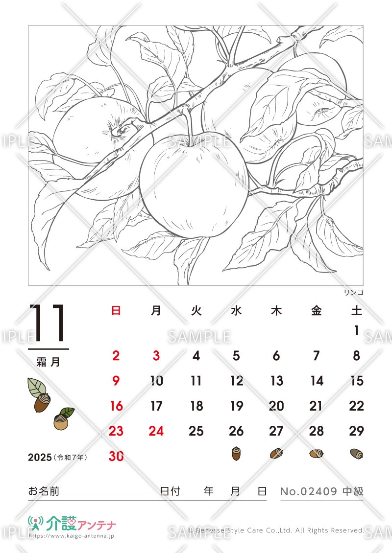 2025年11月の塗り絵カレンダー「リンゴ（植物）」 - No.02409(高齢者向けカレンダー作りの介護レク素材)