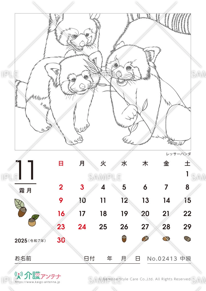 2025年11月の塗り絵カレンダー「レッサーパンダ（動物）」 - No.02413(高齢者向けカレンダー作りの介護レク素材)