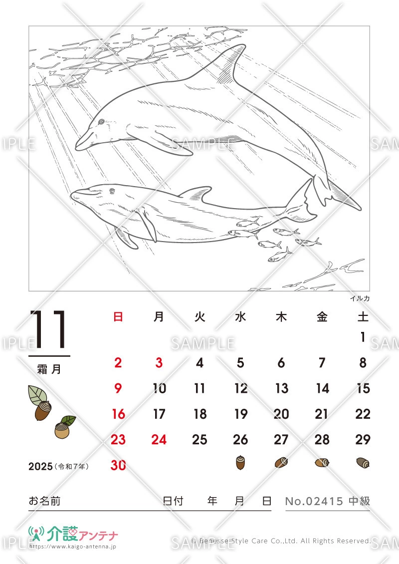 2025年11月の塗り絵カレンダー「イルカ（動物・海の生物）」 - No.02415(高齢者向けカレンダー作りの介護レク素材)