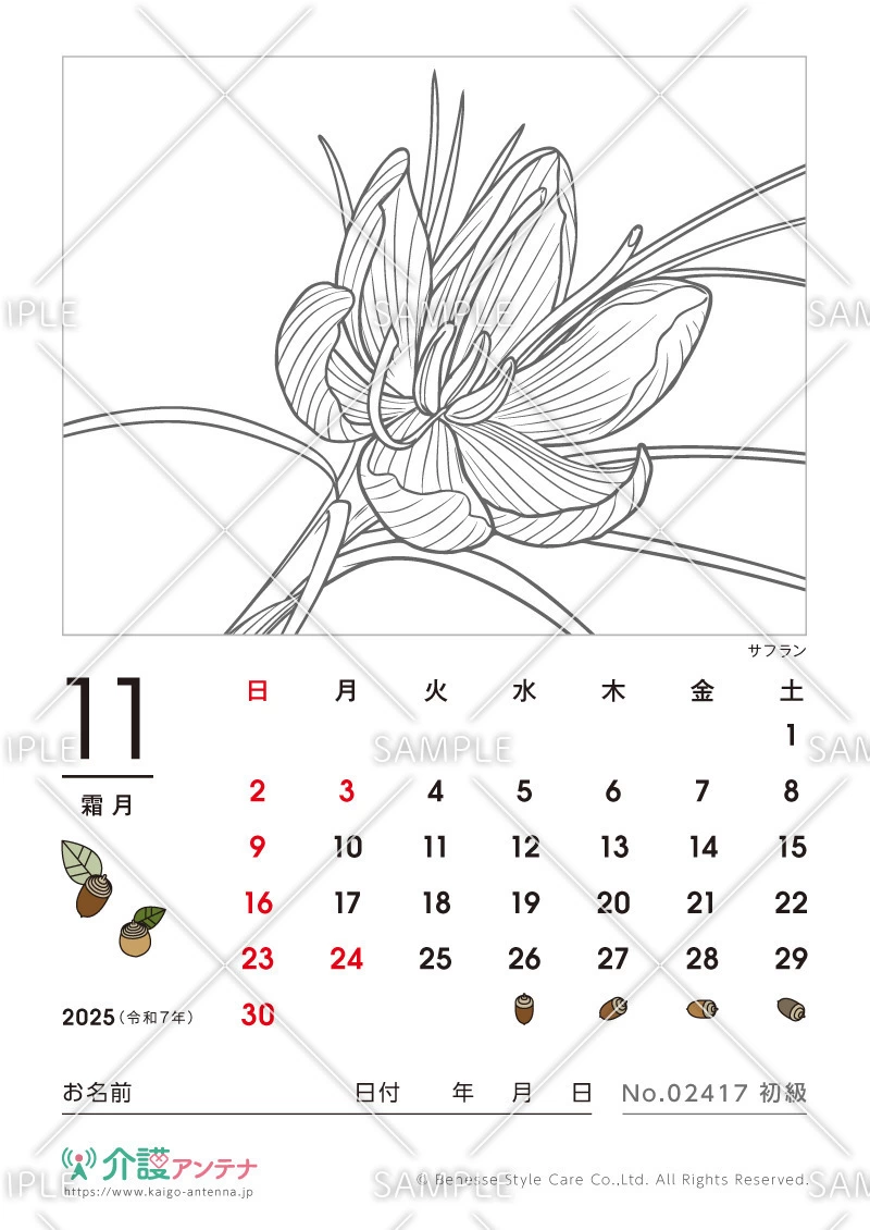2025年11月の塗り絵カレンダー「サフラン（植物）」 - No.02417(高齢者向けカレンダー作りの介護レク素材)