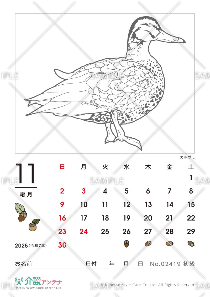 2025年11月の塗り絵カレンダー「カルガモ（鳥・動物）」 - No.02419(高齢者向けカレンダー作りの介護レク素材)