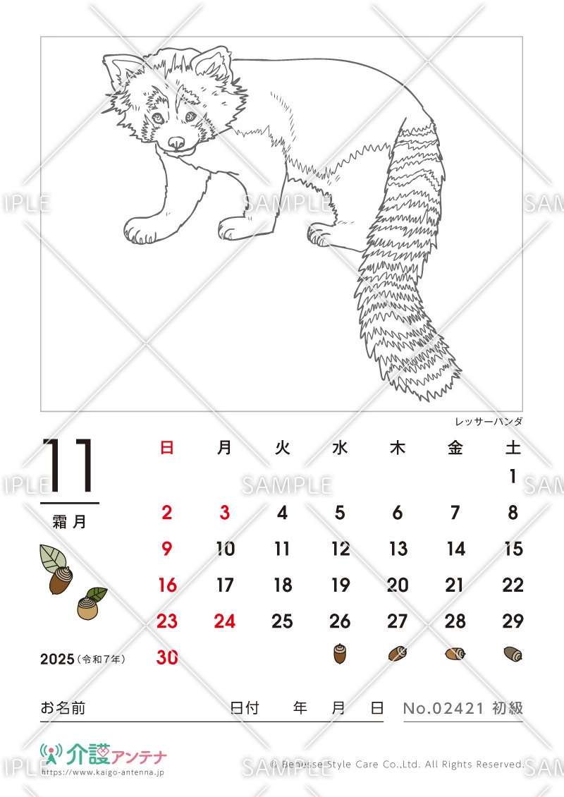 2025年11月の塗り絵カレンダー「レッサーパンダ（動物）」 - No.02421(高齢者向けカレンダー作りの介護レク素材)