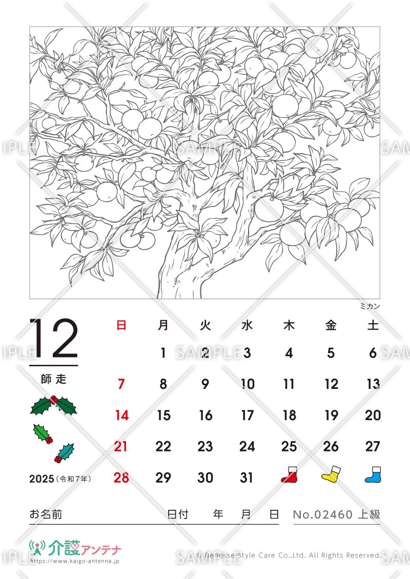 2025年12月の塗り絵カレンダー「ミカン（植物）」 - No.02460(高齢者向けカレンダー作りの介護レク素材)