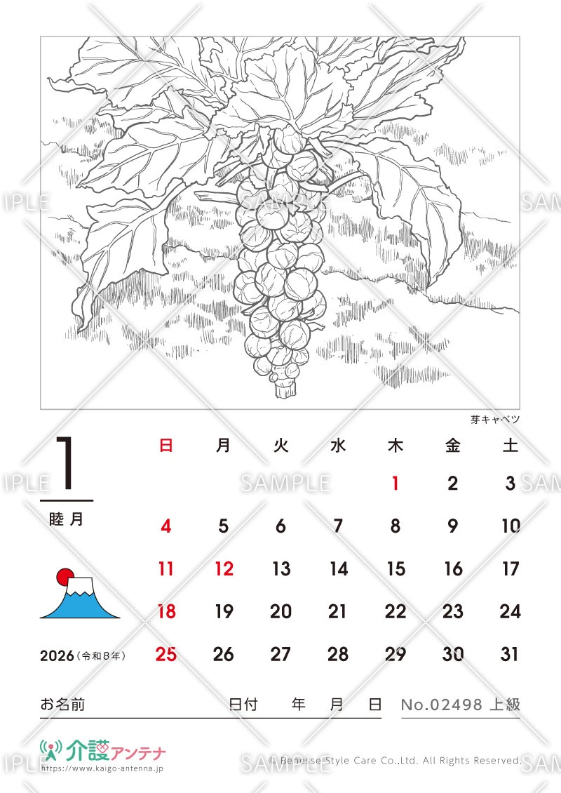 2026年1月の塗り絵カレンダー「芽キャベツ（植物）」 - No.02498(高齢者向けカレンダー作りの介護レク素材)