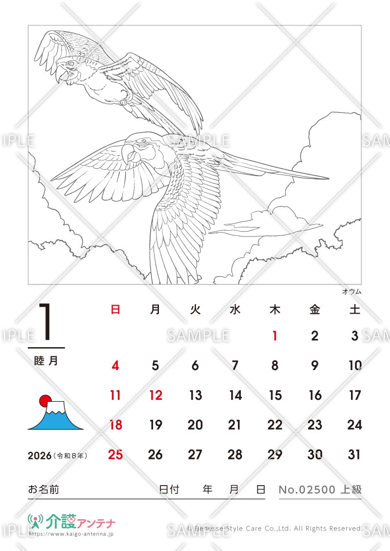 2026年1月の塗り絵カレンダー「オウム（鳥・動物）」 - No.02500(高齢者向けカレンダー作りの介護レク素材)