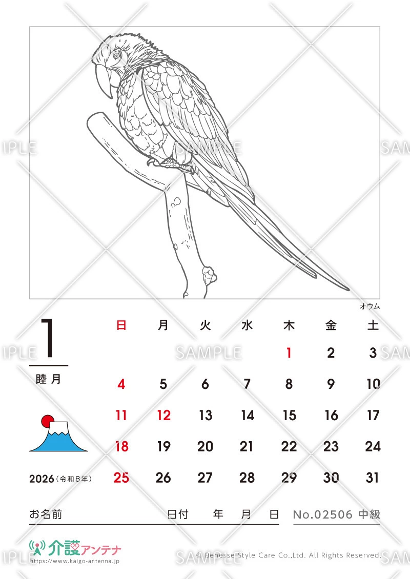 2026年1月の塗り絵カレンダー「オウム（鳥・動物）」 - No.02506(高齢者向けカレンダー作りの介護レク素材)