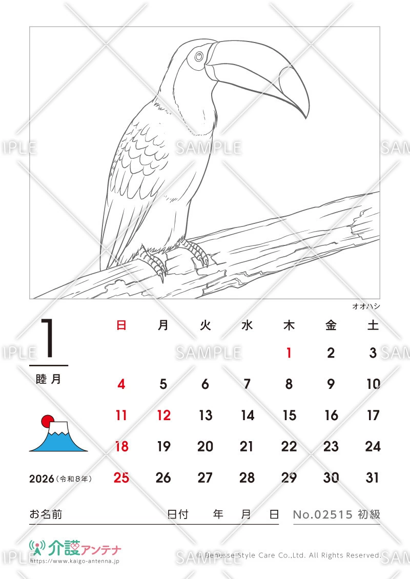 2026年1月の塗り絵カレンダー「オオハシ（鳥・動物）」 - No.02515(高齢者向けカレンダー作りの介護レク素材)