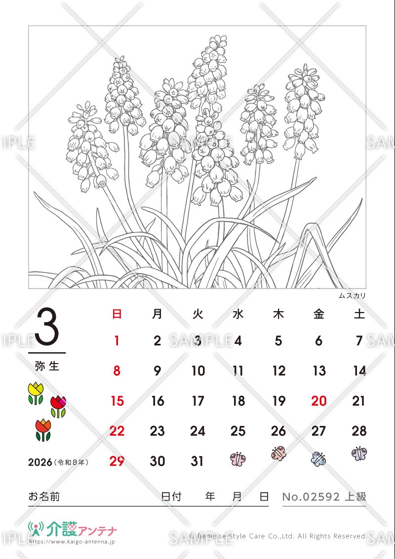 2026年3月の塗り絵カレンダー「ムスカリ（花・植物）」 - No.02592(高齢者向けカレンダー作りの介護レク素材)