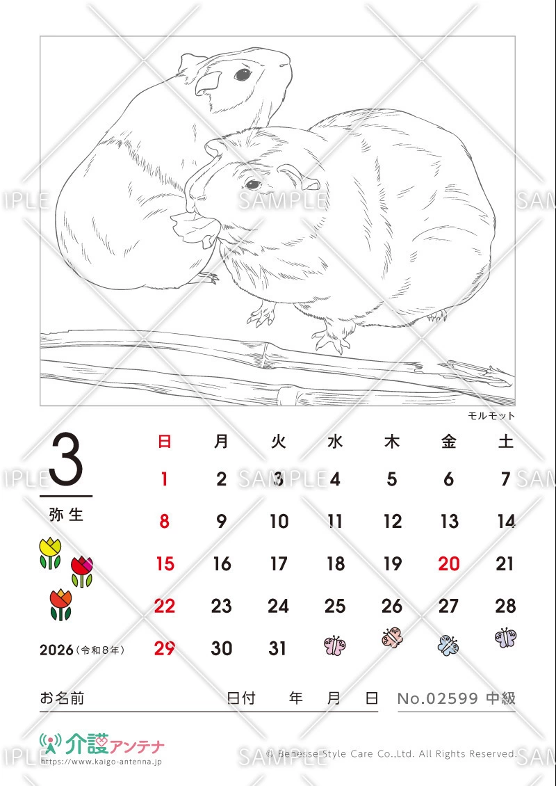 2026年3月の塗り絵カレンダー「モルモット（動物）」 - No.02599(高齢者向けカレンダー作りの介護レク素材)