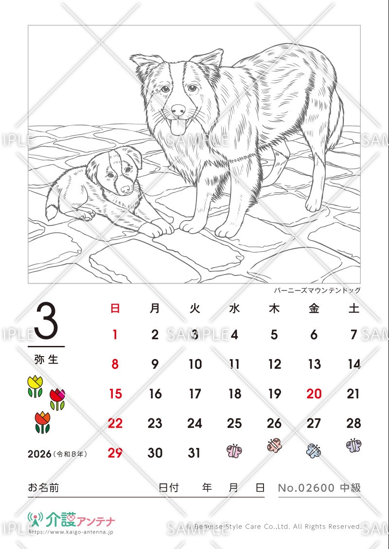 2026年3月の塗り絵カレンダー「バーニーズマウンテンドッグ（犬・動物）」 - No.02600(高齢者向けカレンダー作りの介護レク素材)