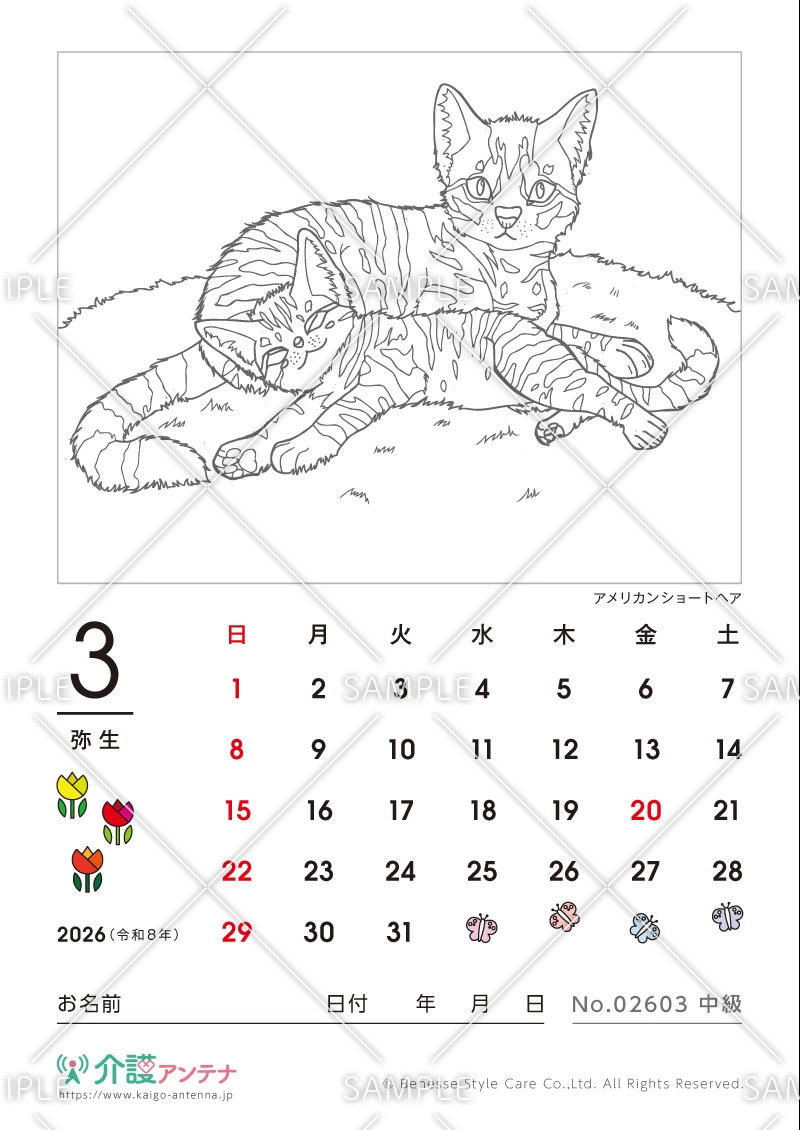 2026年3月の塗り絵カレンダー「アメリカンショートヘア（猫・動物）」 - No.02603(高齢者向けカレンダー作りの介護レク素材)