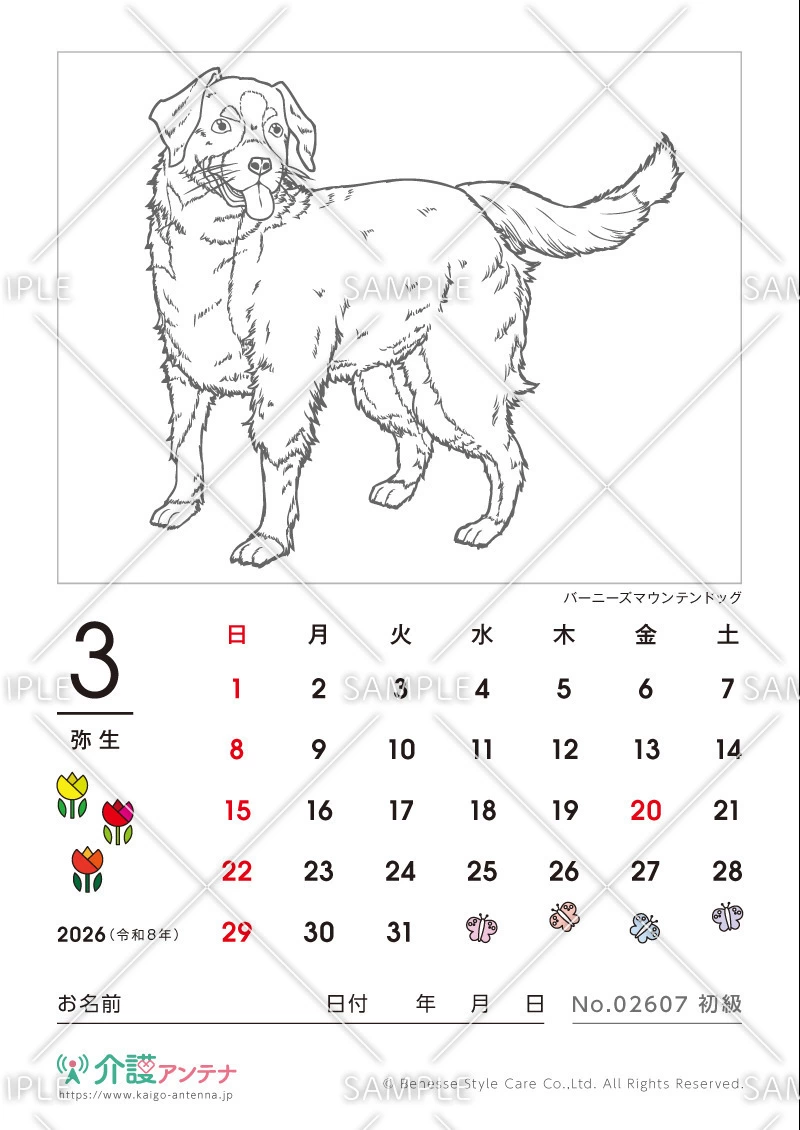 2026年3月の塗り絵カレンダー「バーニーズマウンテンドッグ（犬・動物）」 - No.02607(高齢者向けカレンダー作りの介護レク素材)