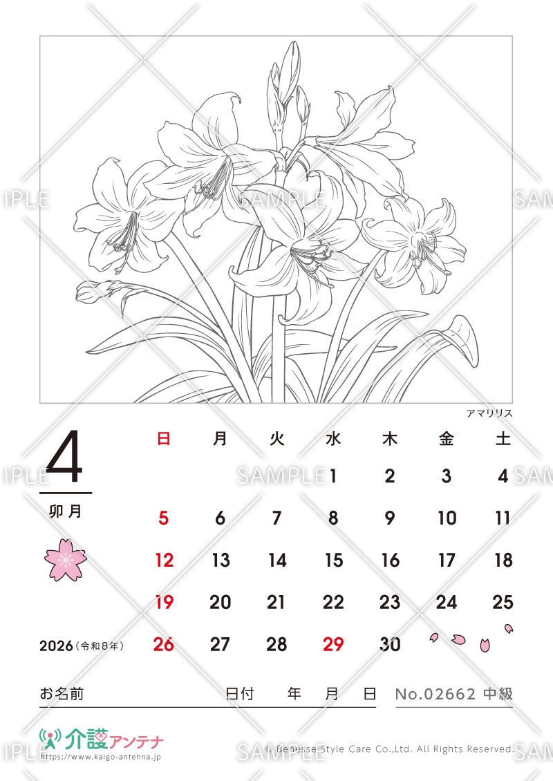2026年4月の塗り絵カレンダー「アマリリス」 - No.02662