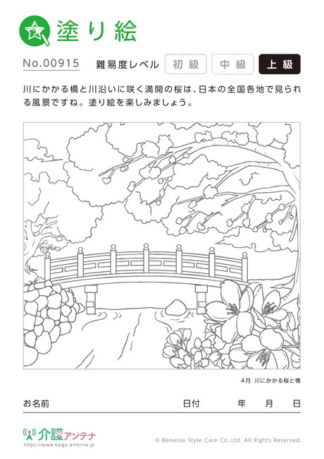 塗り絵「川にかかる桜と橋」 - No.00915 (上級/塗り絵の介護レク素材)