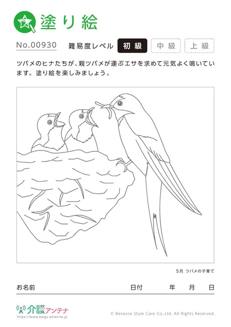 塗り絵「ツバメの子育て」 - No.00930 (初級/塗り絵の介護レク素材)