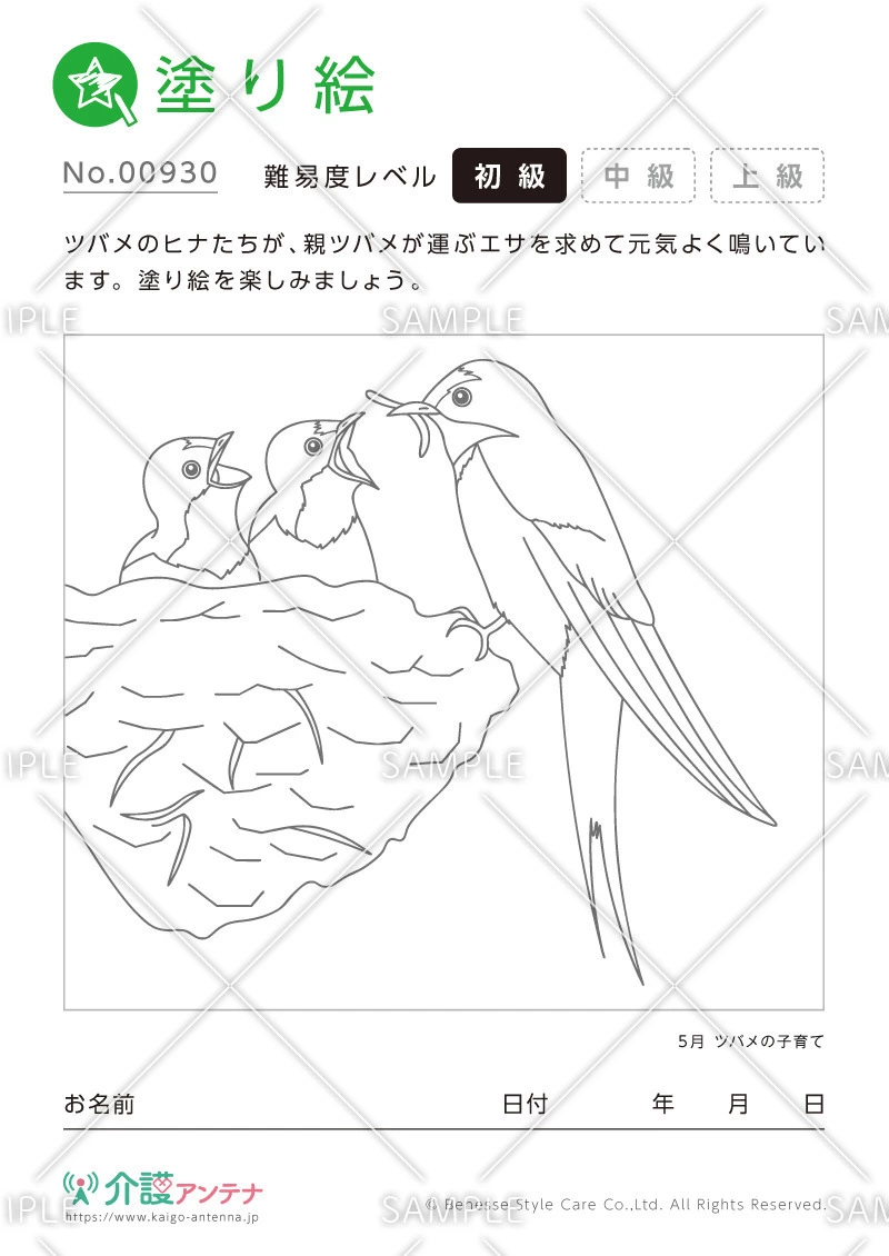 塗り絵「ツバメの子育て」 - No.00930