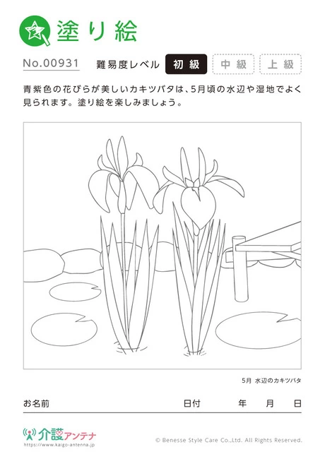 塗り絵「水辺のカキツバタ」 - No.00931 (初級/塗り絵の介護レク素材)
