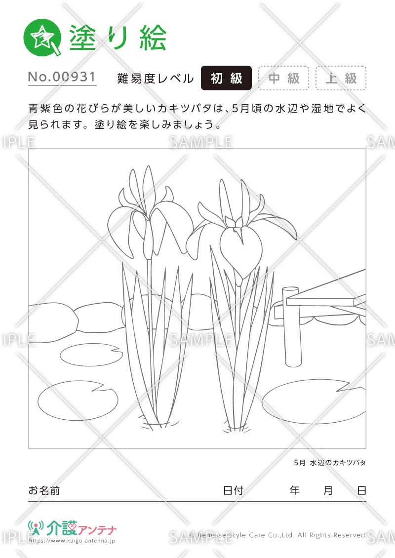 塗り絵「水辺のカキツバタ」 - No.00931