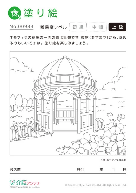 塗り絵「ネモフィラの花畑」 - No.00933 (上級/塗り絵の介護レク素材)