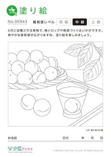 塗り絵「梅の実の収穫」 - No.00943