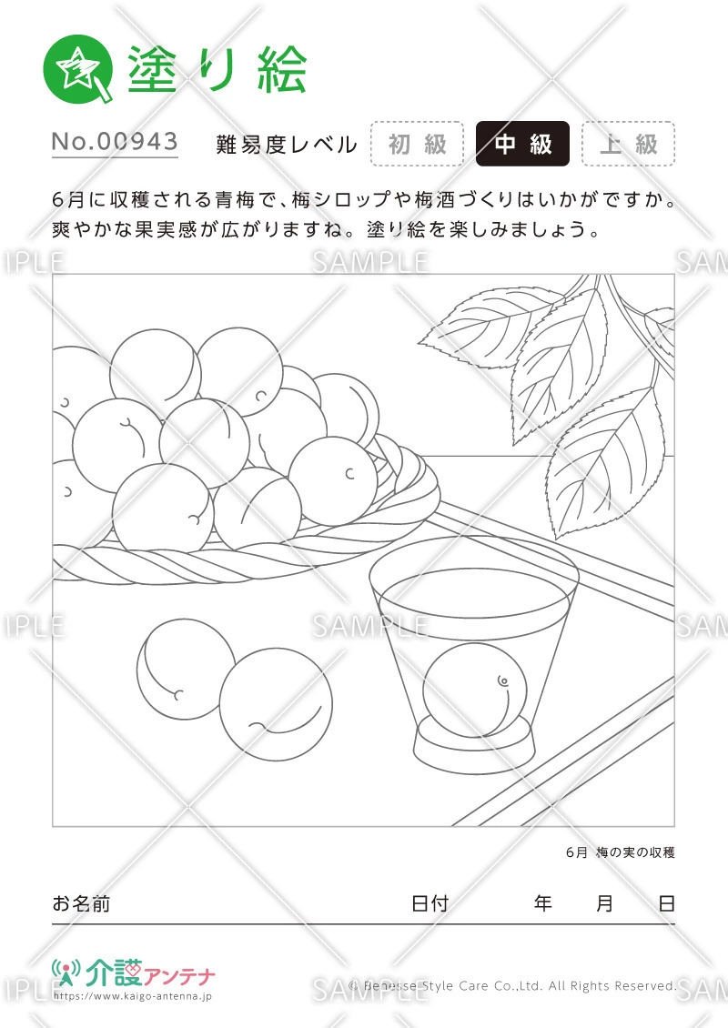 塗り絵「梅の実の収穫」 - No.00943