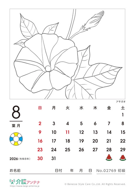 2026年8月の塗り絵カレンダー「アサガオ」 - No.02769 (初級/カレンダー作りの介護レク素材)