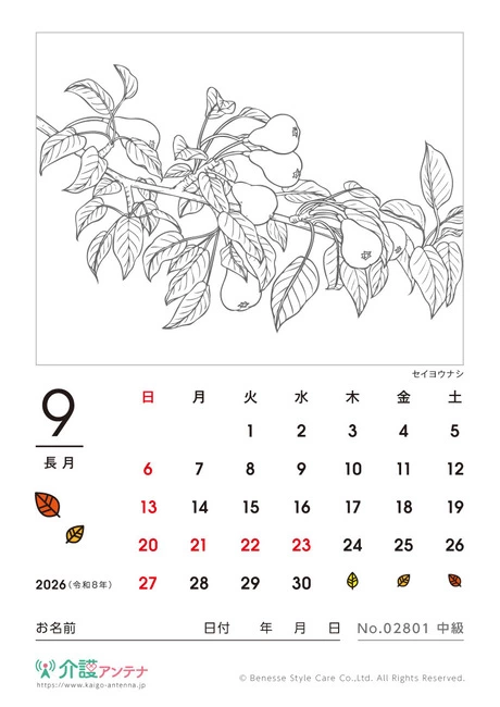 2026年9月の塗り絵カレンダー「セイヨウナシ」 - No.02801 (中級/カレンダー作りの介護レク素材)
