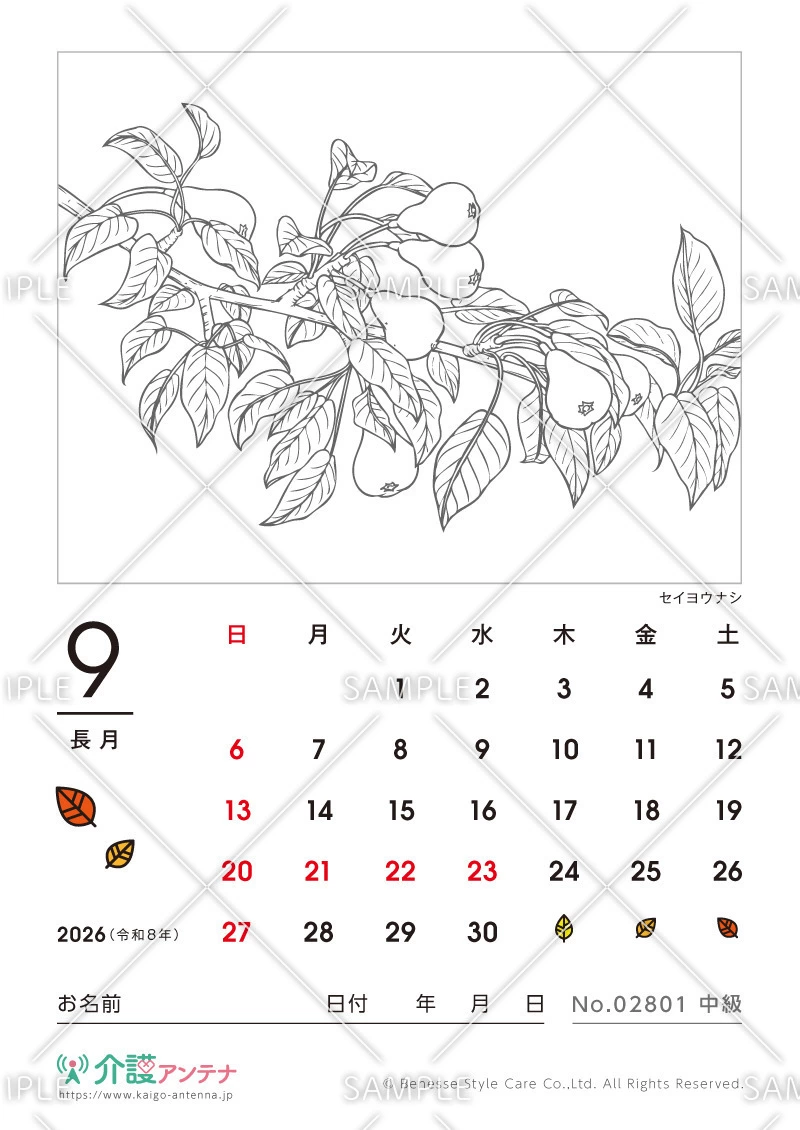 2026年9月の塗り絵カレンダー「セイヨウナシ」 - No.02801