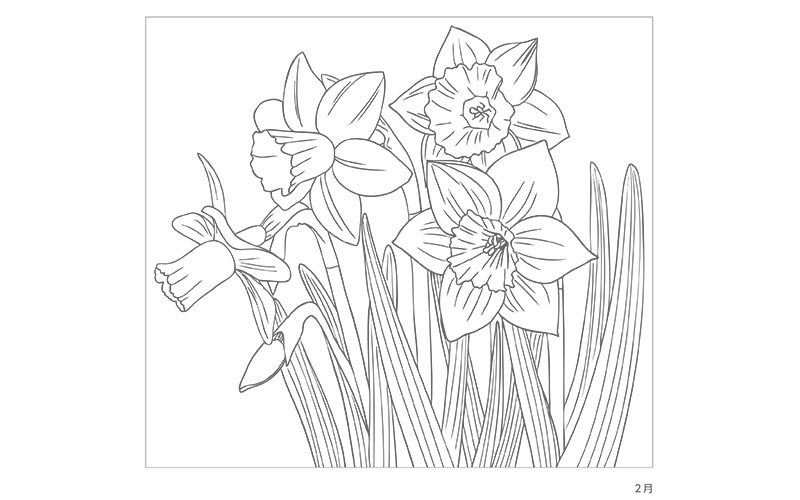 塗り絵 2月の花 スイセン No 高齢者向け塗り絵の介護レク素材 介護アンテナ