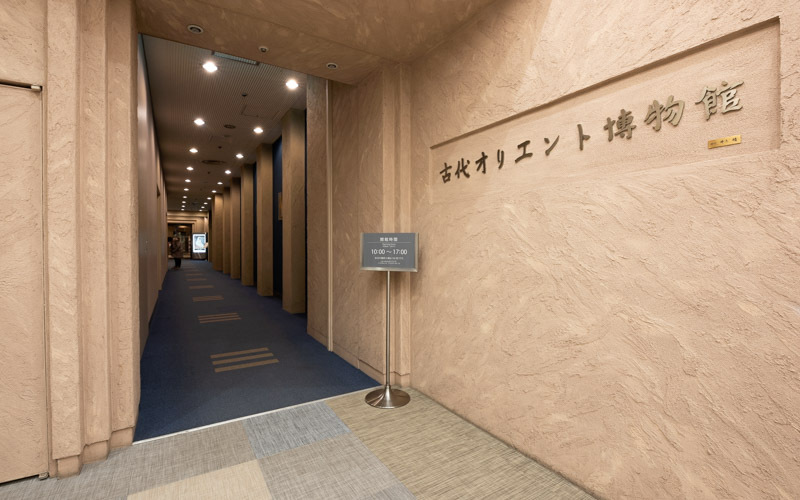 サンシャイン文化会館の7階。エレベーターホールには大きく案内がされている。