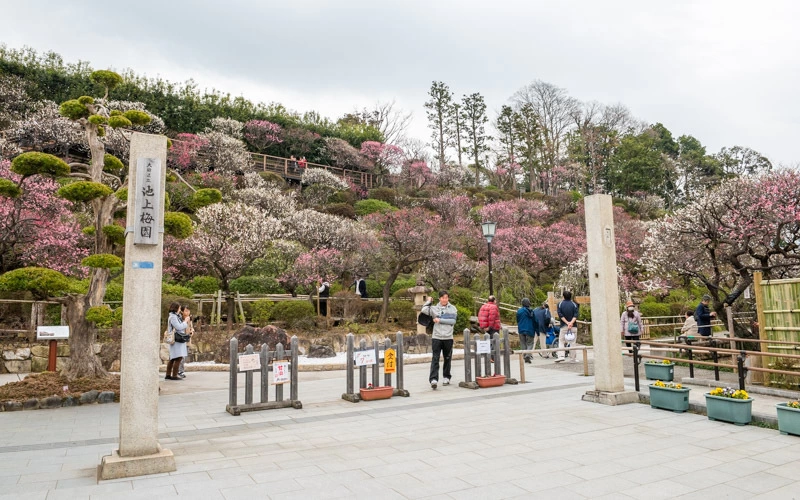 池上梅園のスポット施設詳細 | 介護アンテナ